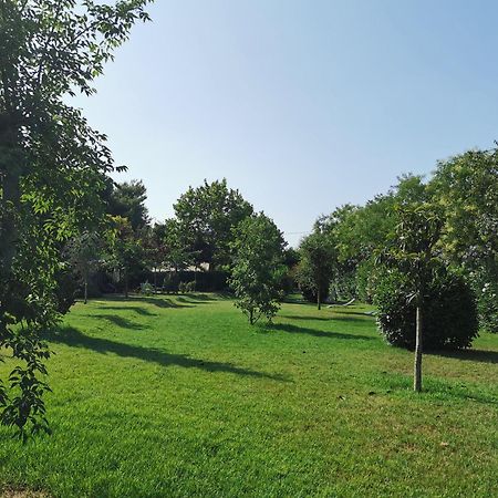 Glamping Agricampeggio Tognoni La Sdriscia Exterior photo