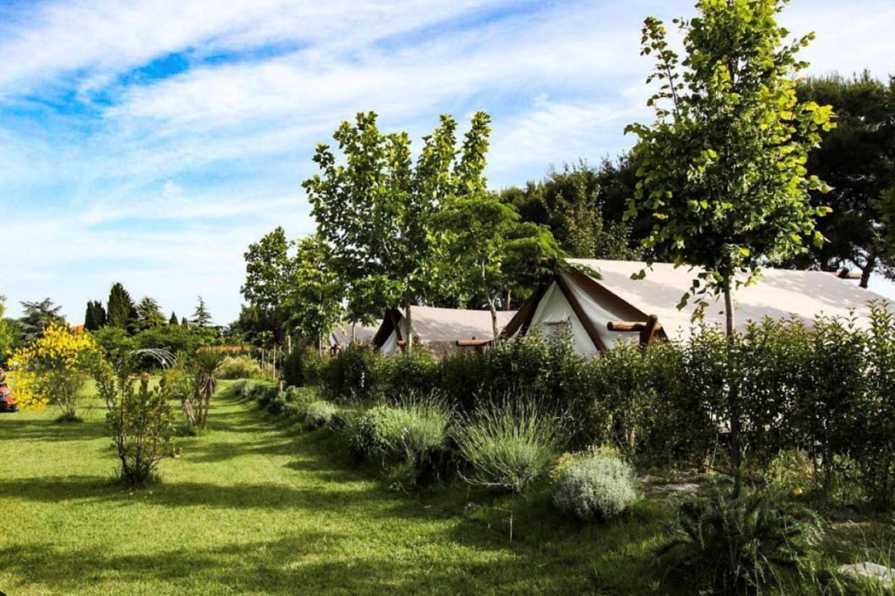 Glamping Agricampeggio Tognoni La Sdriscia Exterior photo