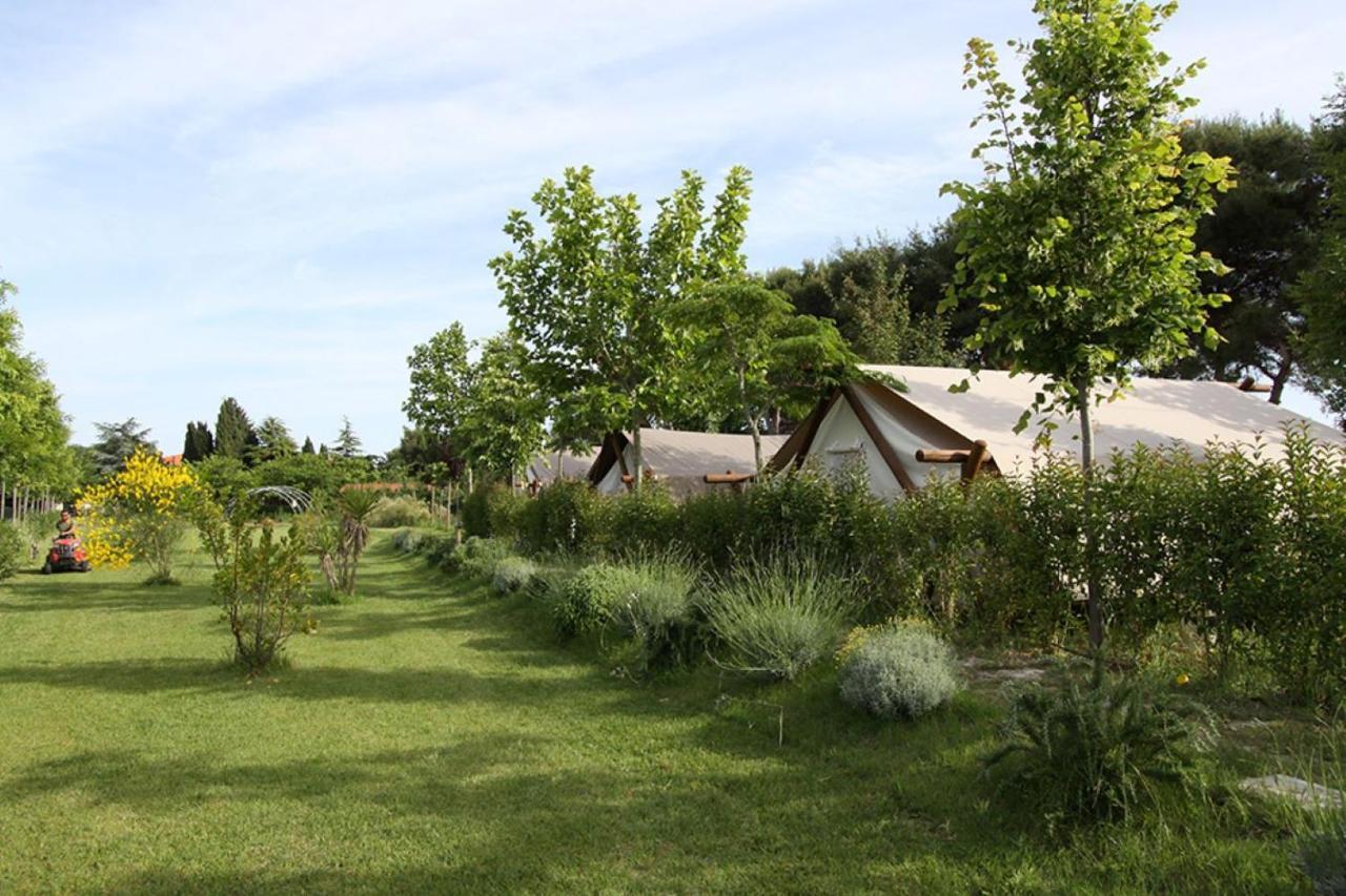 Glamping Agricampeggio Tognoni La Sdriscia Exterior photo