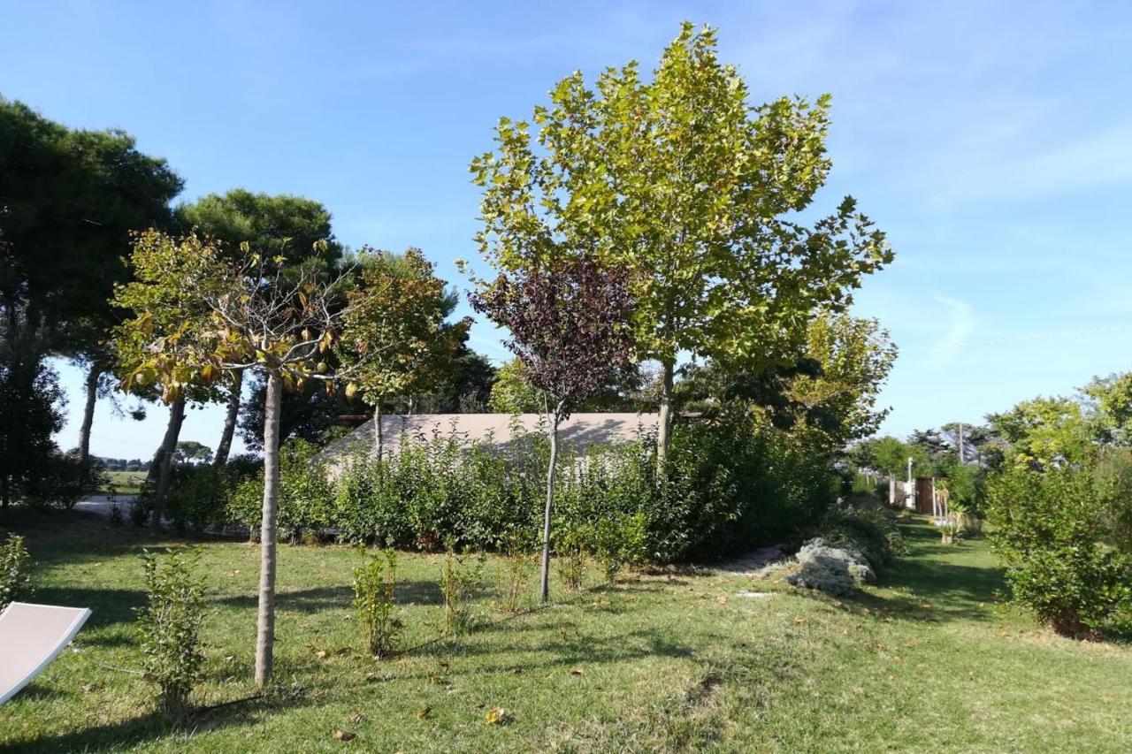 Glamping Agricampeggio Tognoni La Sdriscia Exterior photo