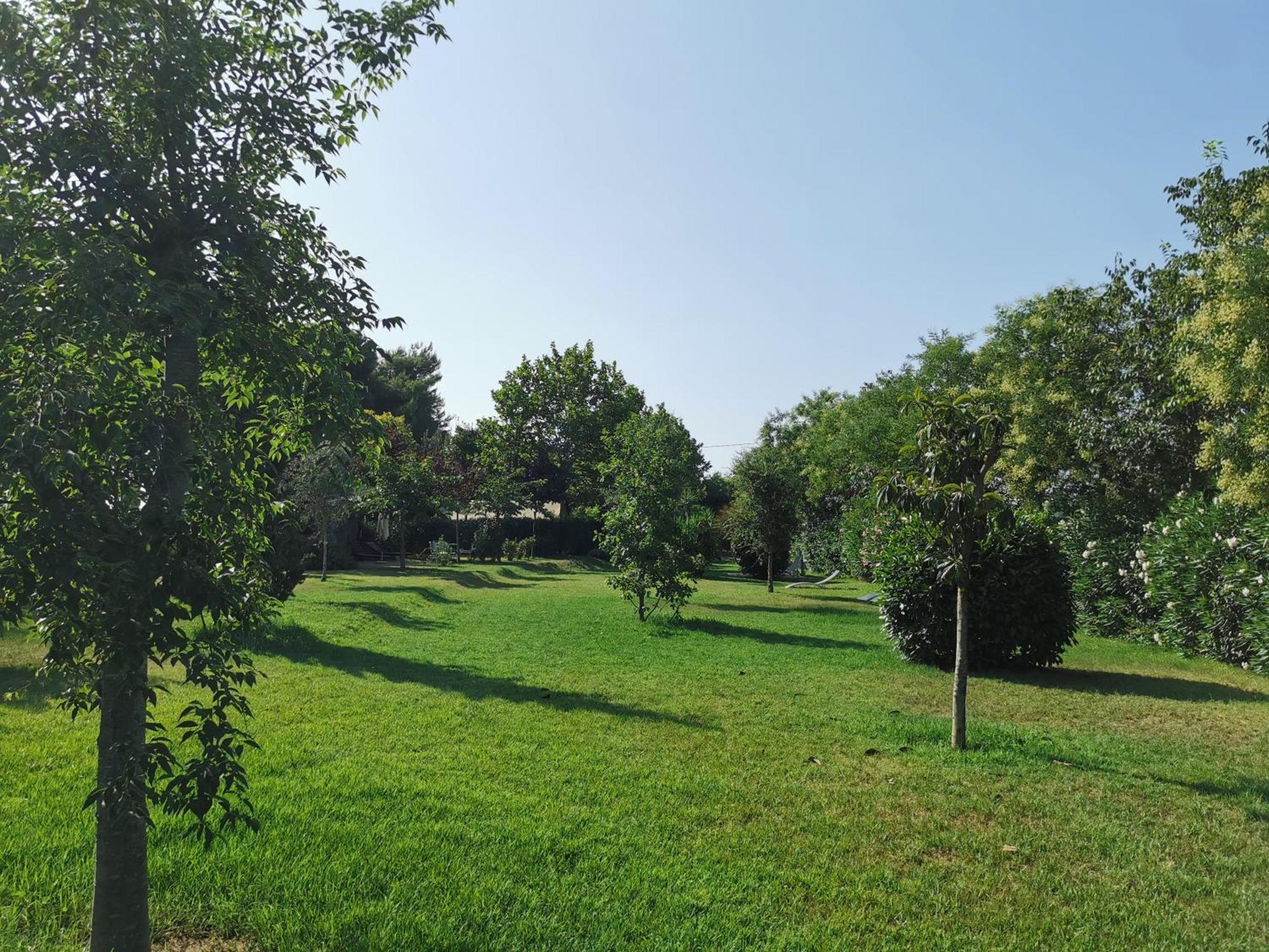 Glamping Agricampeggio Tognoni La Sdriscia Exterior photo