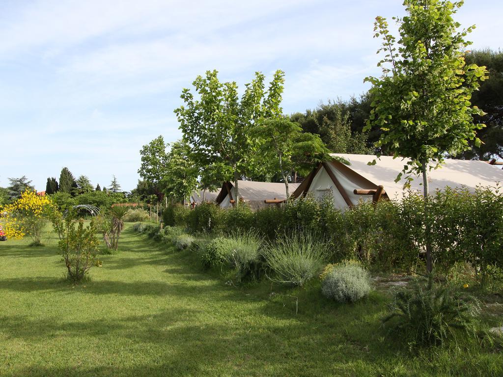 Glamping Agricampeggio Tognoni La Sdriscia Exterior photo